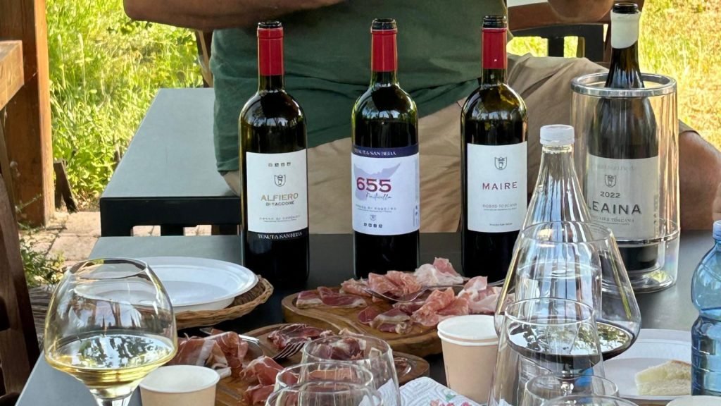 Esperienza di degustazione vini e aperitivi in vigna a Lucca con tour della cantina e assaggi di prodotti locali.