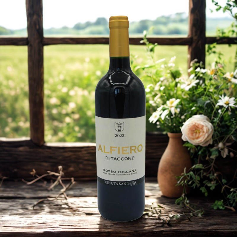 Alfiero Di Taccone - immagine 2