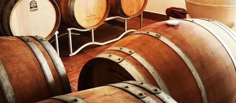 Botti in legno nella cantina della Tenuta San Beda