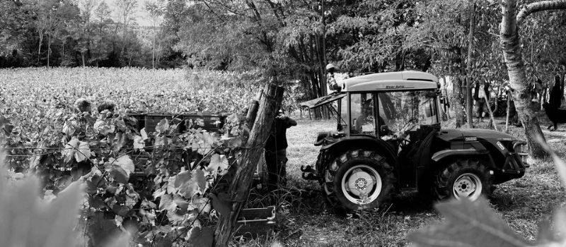 card2 (intestazione)